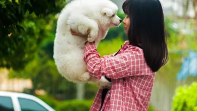 Menschliches Verhalten: Hauptursache für Web3-Sicherheitsrisiken