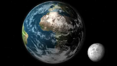 Bitpanda: Führungswechsel für globale Expansion geplant