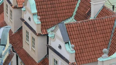 Cardano-Kurs: Abwärtsdruck setzt sich fort, wichtige Unterstützung erreicht