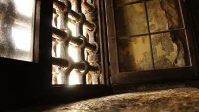 Dogecoin-Verkauf: 440 Millionen DOGE setzen Kurs unter Druck