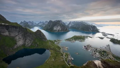 ICP-Kurs erreicht Höchststand: Ein Blick auf die Rallye 2023