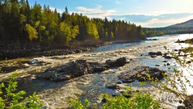 Regulierte Krypto-ETFs von 21Shares stärken Anlegervertrauen