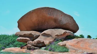 Kryptomarkt im Rückschlag: Bitcoin verliert massiv an Wert