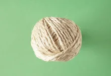 Zukunft des Internets: Web3 und die Rolle von Solana