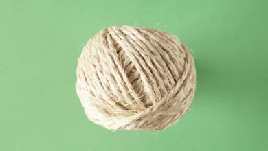 Zukunft des Internets: Web3 und die Rolle von Solana