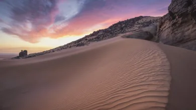 Afrika treibt digitalen Handel mit Kryptotechnologie voran