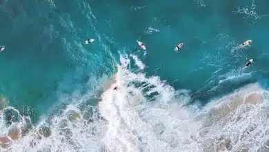 Bitcoin oder Gold: Peters Schiff macht neue Prognosen