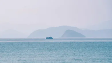 Kryptokollaps: Ein Blick auf den heutigen Crypto Black Friday