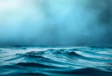 Ripple XRP: Rückgang des Handelsinteresses trotz Erholung