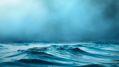 Ripple XRP: Rückgang des Handelsinteresses trotz Erholung