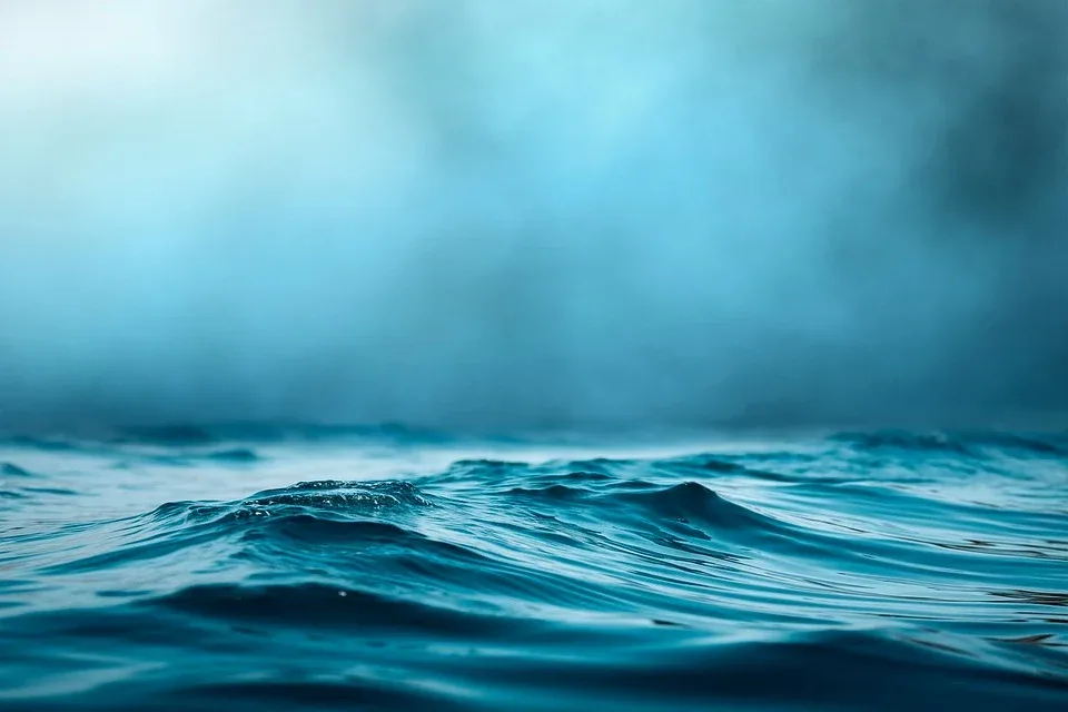 Ripple XRP: Rückgang des Handelsinteresses trotz Erholung