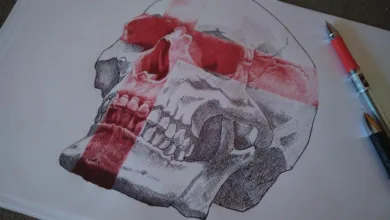 Neueste Bitcoin-Prognosen: Realistische Einschätzungen von Brandt