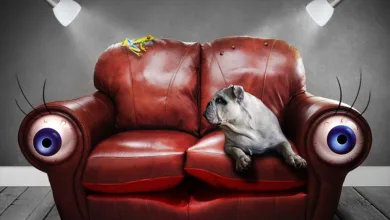 Zcash: Der unerwartete Aufstieg im Krypto-Markt علاج