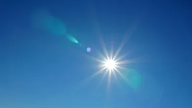 Solana: Investoren im Zwiespalt nach Kursrückgang