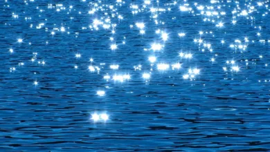 Ripple RLUSD über eine Milliarde Dollar: Sicherer Einsatz im Sozialbereich