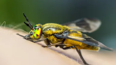 Mt. Gox bewegt über 10.000 BTC: Markt unter Druck