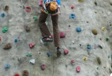 Cardano-Netzwerksplit: Unerwartete Herausforderungen für die Blockchain