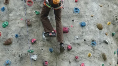 Cardano-Netzwerksplit: Unerwartete Herausforderungen für die Blockchain