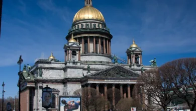 Krypto-Experte Peter: Ein Blick auf digitale Kunst und Privatsphäre