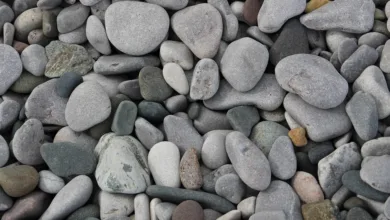 Bitcoin auf Tiefstand: Wale und Marktbewegungen im Fokus