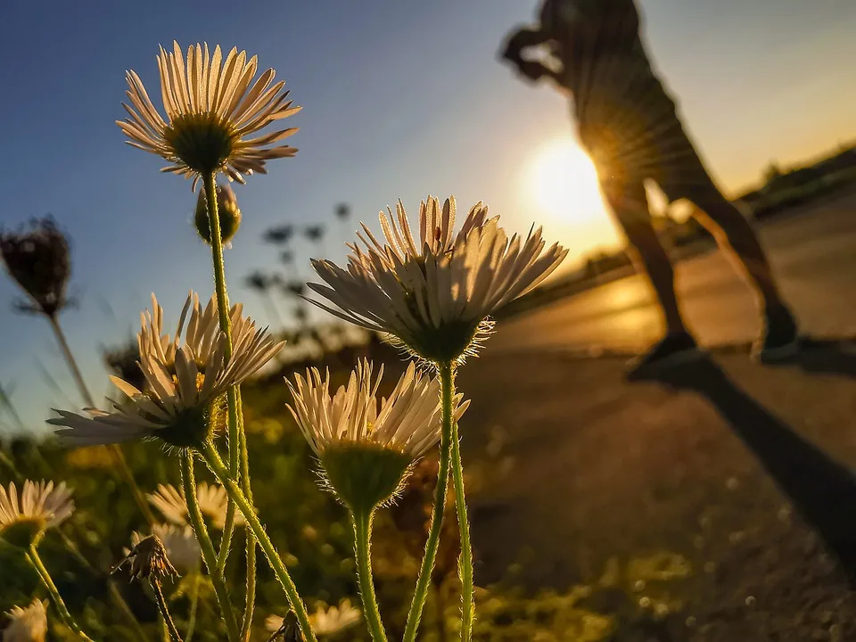 Truth Social startet eigene Vorhersagemärkte für Nutzer