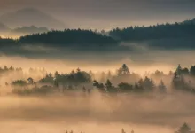 Tschechische Nationalbank testet digitale Vermögenswerte aktiv