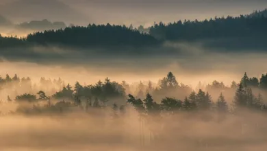 Tschechische Nationalbank testet digitale Vermögenswerte aktiv