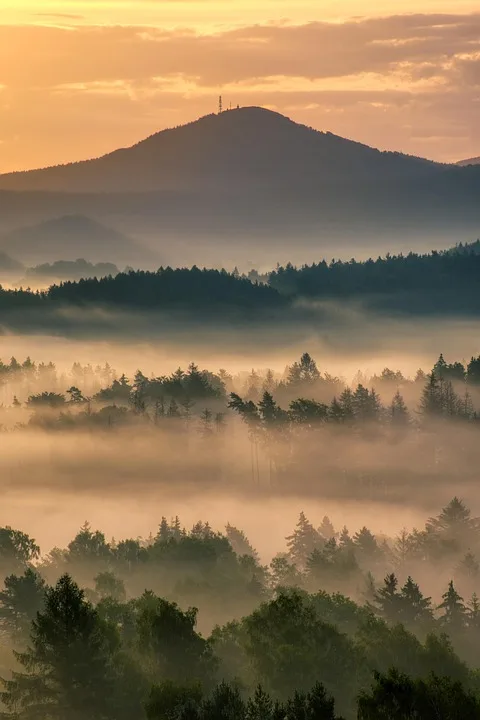 Tschechische Nationalbank testet digitale Vermögenswerte aktiv