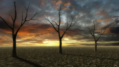 Starknet-Kurs: Dramatischer Anstieg trotz Marktunsicherheit