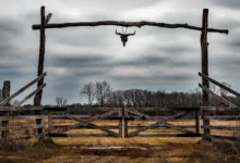 Texas investiert 5 Millionen USD in Bitcoin-ETF für Krypto-Reserve