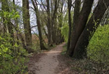 BitCrack Recovery Experts: Ihre Lösung für Krypto-Verluste