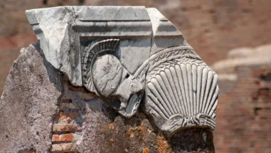 Bitcoin stabilisiert sich nach drastischem Absturz – was nun?