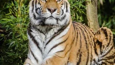 Krypto-Woche: Große Bewegungen trotz ökonomischer Sorgen