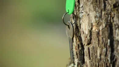 Software-Wallets: Ihr Schlüssel zu sicherem Krypto-Handel