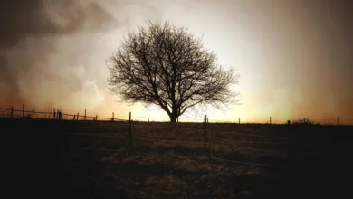 Kryptomarkt unter Druck: Droht Bitcoin der Abstieg?