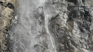 Zcash fällt trotz positiver Nachrichten stark: Was nun?