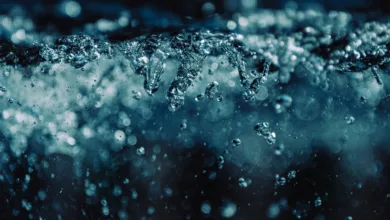 Begnadigung von Changpeng Zhao: Politische Turbulenzen in Washington