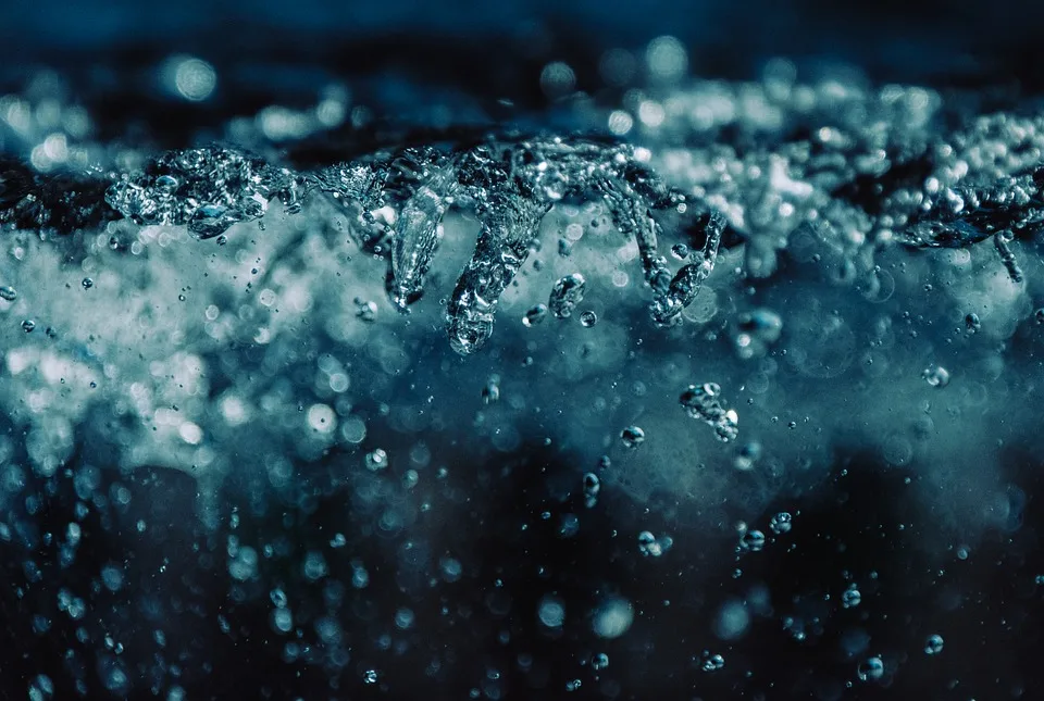 Begnadigung von Changpeng Zhao: Politische Turbulenzen in Washington