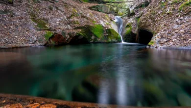 XRP-Preise fallen weiter: Anleger reagieren auf Unsicherheiten