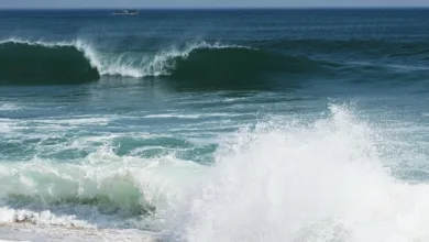 Bitcoin unter Druck: Aktuelle Risiken für Anleger erkennen