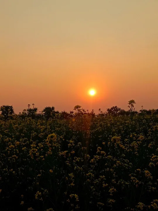 Dogecoin durchbricht Muster: Neue ETF-Angebote starten