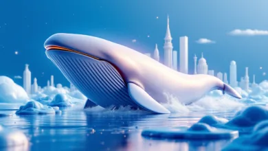 Krypto-Kurssturz: Millionenliquidation eines Binance-Wales