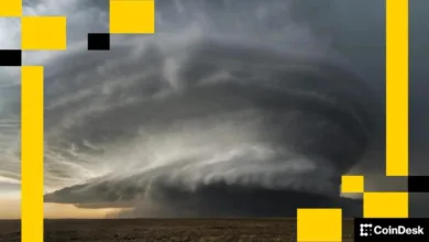 Kryptomarkt im Rückgang: Bitcoin und Ethereum unter Druck