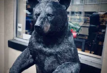 Kryptomärkte 2026: Herausforderungen und Chancen für Bitcoin