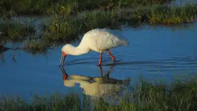 Kryptowährungs-Fonds in der Krise: Herausforderungen 2024