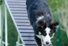 Bitcoin am Wendepunkt: Wer entscheidet über den Kurs?