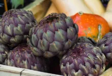 Bitcoin und Solana: Märkte unter Druck – Bhutan innoviert