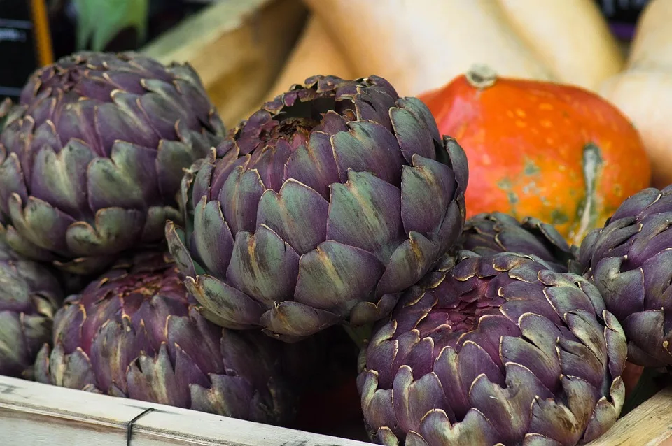 Bitcoin und Solana: Märkte unter Druck – Bhutan innoviert