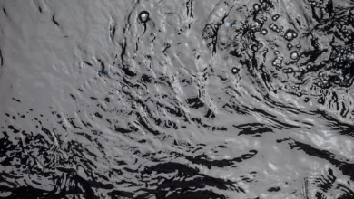 Ripple bekommt grünes Licht für nationale Treuhandbank in den USA