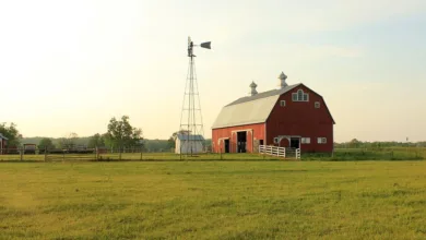 Indiana stärkt Krypto-Branche mit neuem Gesetzesentwurf